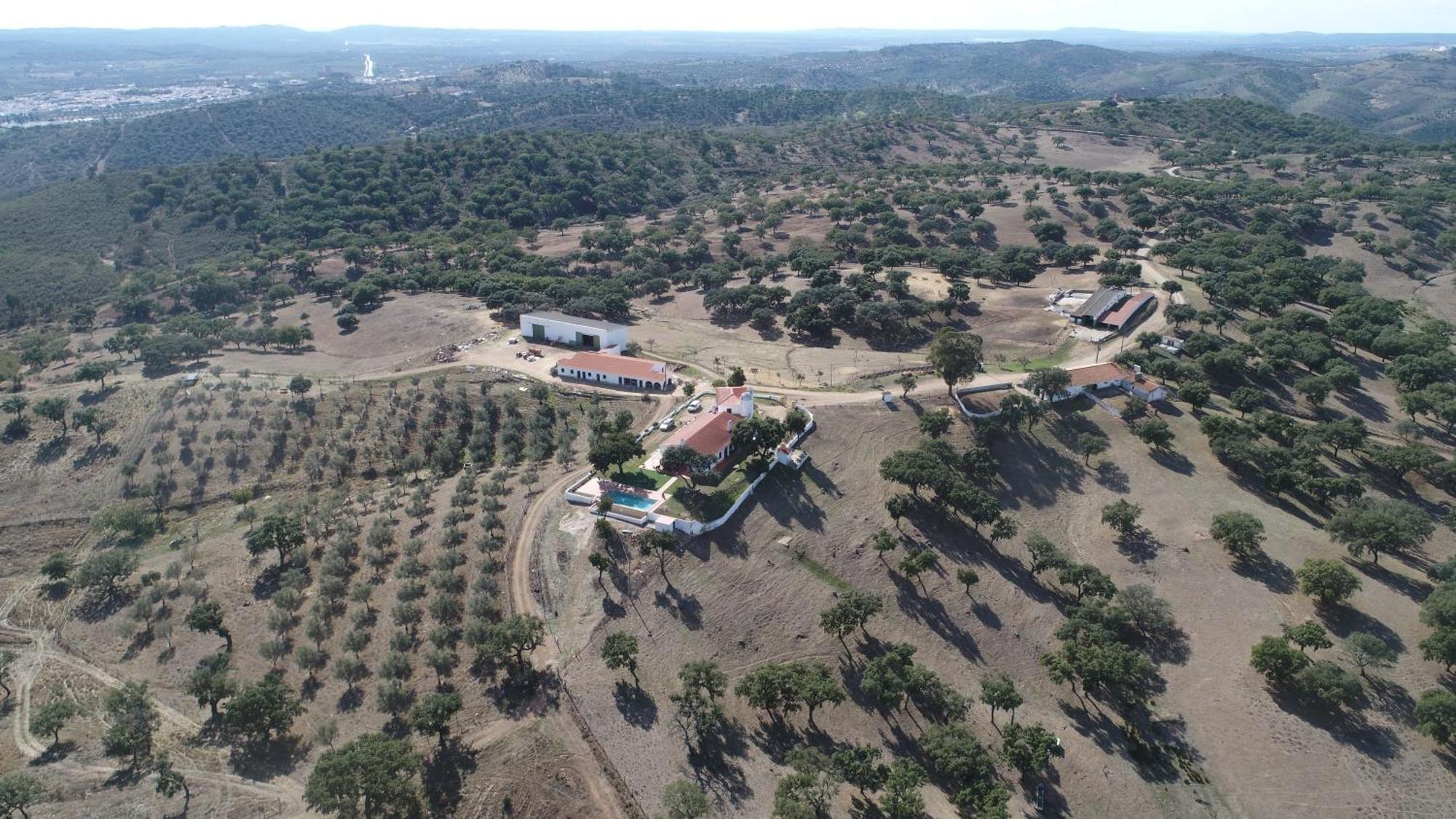 Herdade Vale De Cabras Portel Exterior foto