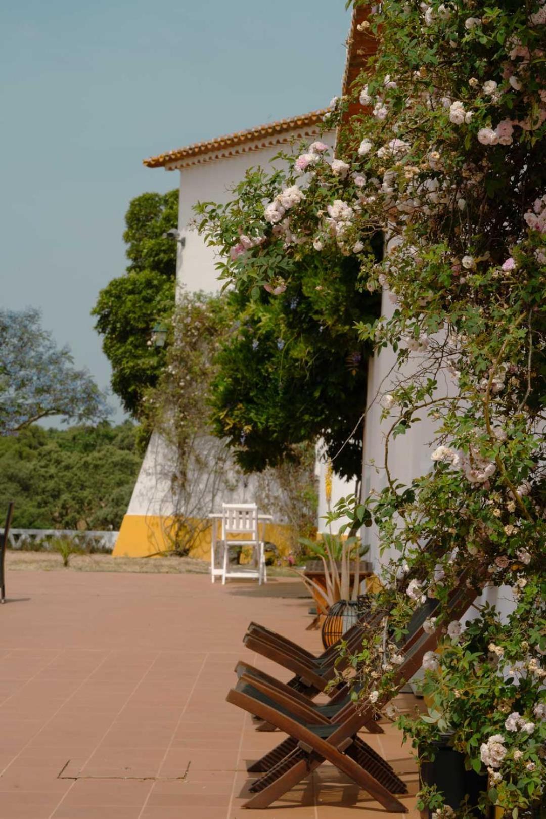 Herdade Vale De Cabras Portel Exterior foto